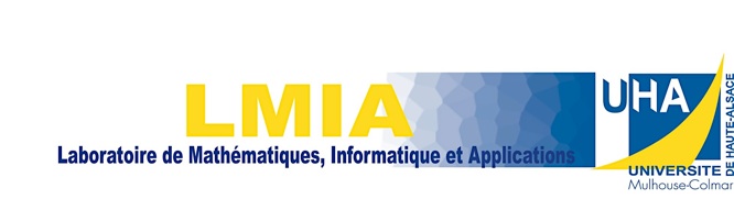 LMIA logo